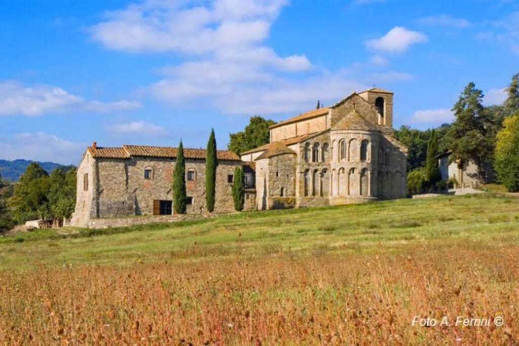 Villa Liz Tuscany, Private Pool, Hot Tub, Property Fenced, Pets Allowed Poppi Dış mekan fotoğraf