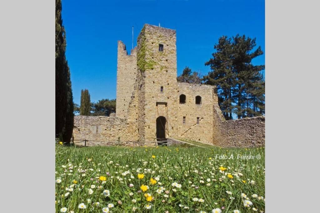 Villa Liz Tuscany, Private Pool, Hot Tub, Property Fenced, Pets Allowed Poppi Dış mekan fotoğraf