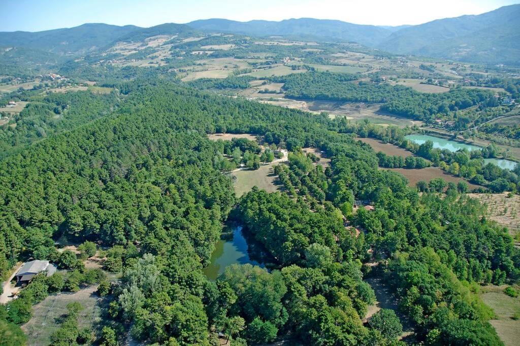Villa Liz Tuscany, Private Pool, Hot Tub, Property Fenced, Pets Allowed Poppi Dış mekan fotoğraf